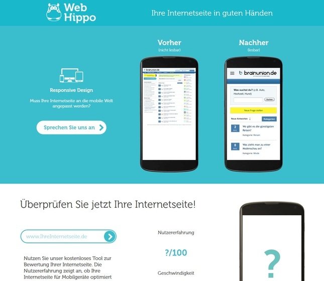 Grafik Projekt webhippo.de
